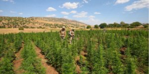 İçişleri Bakanı Yerlikaya 'Onlara nefes aldırmayacağız' diyerek duyurdu: Zehir tacirlerine 'iki tonluk' ağır darbe