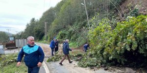 Rize’de heyelan nedeniyle yol ulaşıma kapandı