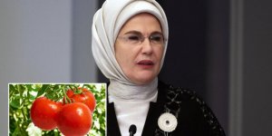 Emine Erdoğan'dan 'Ayaş domatesi' paylaşımı