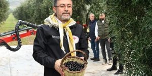 Bakan Yumaklı: Zeytin üzerinden yapılan spekülasyonlara itibar etmeyin