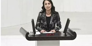 DEM Partili vekilden TSK'ya alçak iftira... İşgalci İsrail ordusu ile bir tuttu