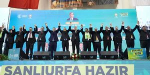 AK Parti'nin Şanlıurfa ilçe adayları belli oldu