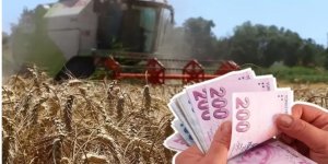 Çiftçilere yaklaşık 2,5 milyar liralık tarımsal destek ödemesi bugün yapılacak