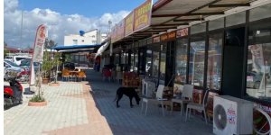 Hatay Samandağ'da depremlerden sonra açılan çarşıda 39 esnaf hizmet veriyor