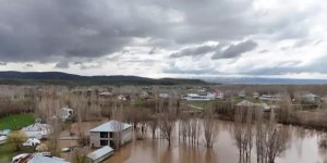 Ağrı'nın Patnos ilçesinde taşan dere nedeniyle bazı ev ve ahırları su bastı