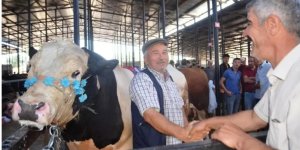 Kurban pazarlarında hareketlilik başladı