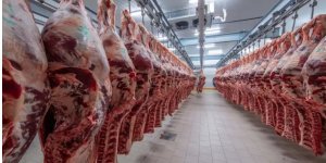 AİHM yasaklanan helal kesim yöntemi ile ilgili karar verdi