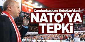 Cumhurbaşkanı Erdoğan'dan NATO'ya tepki
