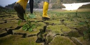 Çevreyi korumaya harcamaları 224,6 milyar liraya ulaştı