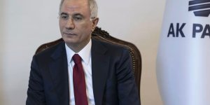 AK Parti Genel Başkanvekili Efkan Ala: "Rümeysa Öztürk'ün serbest bırakılması sevindirici"