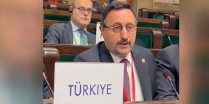 AB toplantısında mikrofonu kesilen Karayel: İfade özgürlüğü çiğneniyor