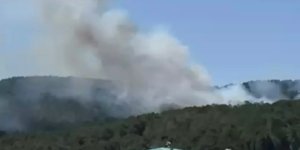 İstanbul'da Aydos Ormanı'nda yangın çıktı