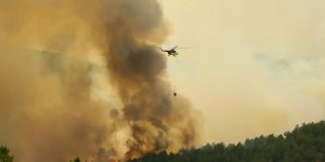 Uşak'ta orman yangını! Havadan ve karadan müdahale ediliyor