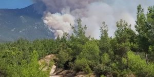 Pamukkale'de yangın: Havadan ve karadan müdahale başladı