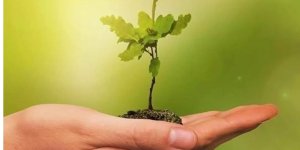 Meclis'ten "Sıfır Atık Projesi"ne tam destek