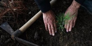 Kabine üyelerinden "Yeşil Vatan Seferberliği"ne destek