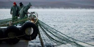 Türkiye GFCM başkanlığıyla balıkçılık politikasında söz sahibi olacak