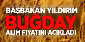 Başbakan Yıldırım buğday alım fiyatını açıkladı