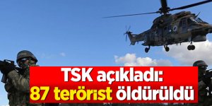 TSK açıkladı: Şırnak ile Irak’ın kuzeyinde 87 terörist öldürüldü