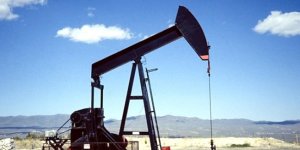 ABD'li şirket Siirt'te petrol arama başvurusu kabul edildi