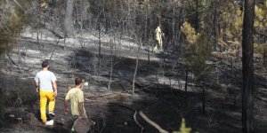 Bolu'daki orman yangınında soğutma çalışmaları sürüyor