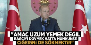 Erdoğan: "Amaç üzüm yemek değil bağcıyı dövmek hatta mümkünse ciğerini de sökmektir"