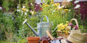 Sonbahar dönemi bahçe bakımı nasıl yapılır?