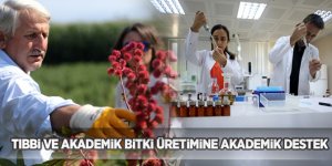 "Tarladan laboratuvara" sloganıyla tıbbi ve akademik bitki üretimine akademik destek