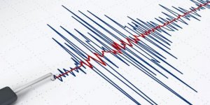 Muğla Gökova Körfezi açıklarında 4.3 büyüklüğünde deprem !
