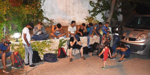 Muğla'da 24 kaçak göçmen yakalandı