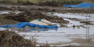 Çankırı'da sağanak yağış 4 bin ton pirince zarar verdi