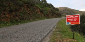 Tarım ve Orman Bakanlığından 'Balıkesir'de kuduz karantinası' açıklaması