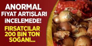 Ankara Polatlı'da 200 bin ton soğanın depolandığı tespit edildi