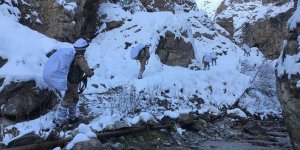 PKK'ya ağır darbe! Kış üslenmesine yönelik operasyon