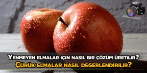 Yenmeyen elmalar için nasıl bir çözüm üretilir? Çürük elmalar nasıl değerlendirilir?