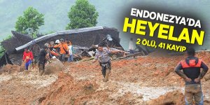 Endonezya'da heyelan: 2 ölü, 41 kayıp