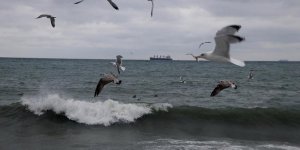 Marmara'da fırtına: Deniz ulaşımına poyraz engeli!