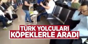 Nazi zihniyeti hortladı! Avusturya polisi Türk yolcuları köpeklerle aradı