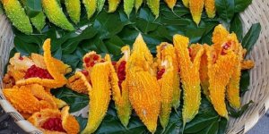 Kudret narı nedir ? Faydaları nelerdir?