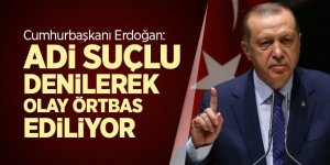 Cumhurbaşkanı Erdoğan: Adi suçlu denilerek olay örtbas ediliyor