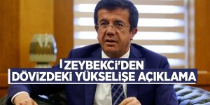 Zeybekci'den dövizdeki yükselişe açıklama
