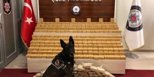 Narkotik köpeği Alfayı kandırmak için Uyuşturucuyu gizlemişler!