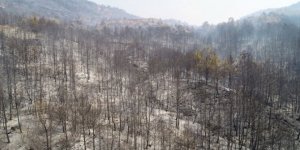 (Muğla'da orman yangını)  Bakan Pakdemirli'den son durum açıklaması