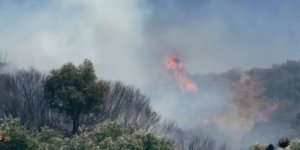 Marmaris'te orman yangınlarına bidonlu önlem