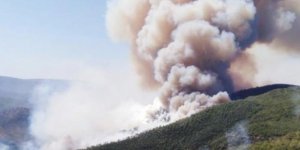 Orman yangınlarını terör örgütü PKK üstlendi