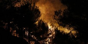 25 farklı noktada çıkan orman yangını