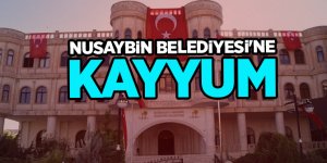 Hakkari, Nusaybin ve Yüksekova beldiyelerine kayyum