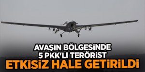 Avaşin bölgesinde 5 PKK'lı terörist etkisiz hale getirildi