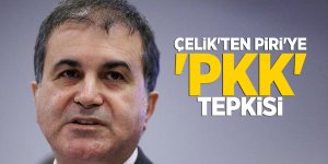Çelik'ten Piri'ye 'PKK' tepkisi
