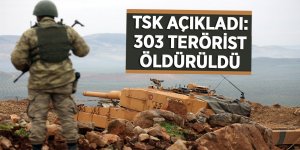 Zeytin Dalı Harekatı'nda 303 terörist etkisiz hale getirildi
